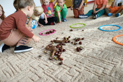 IMG20230925091142