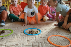 IMG20230925091535