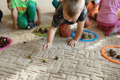 IMG20230925091640