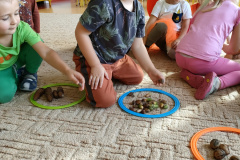 IMG20230925091646