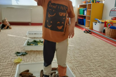 IMG20230925092805