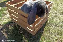 IMG-20220321-WA0014
