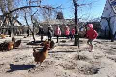 IMG-20220321-WA0065