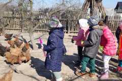 IMG-20220321-WA0071