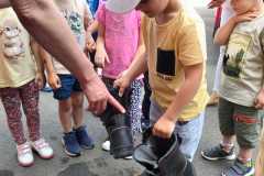 IMG-20240530-WA0134