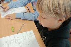 IMG20241112095452