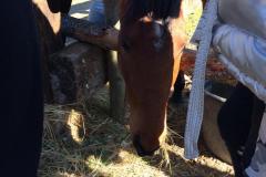 IMG-20220310-WA0026