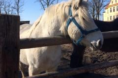 IMG-20220310-WA0028