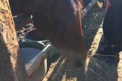 IMG-20220310-WA0033
