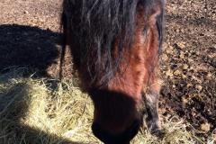IMG-20220310-WA0035