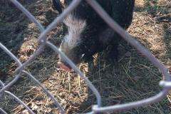 IMG-20220310-WA0040