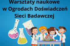 Projekt bez nazwy - 1