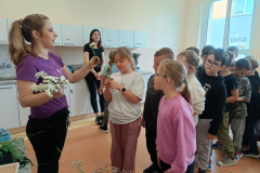 IMG20250526105126
