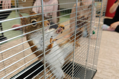 IMG20240416091447