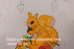 IMG_20211115_195720