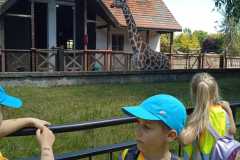 WhatsApp-Image-2024-05-27-at-12.54.46-4
