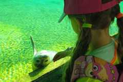 WhatsApp-Image-2024-05-27-at-12.54.48-1
