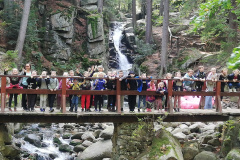dig