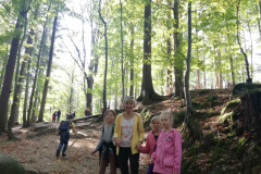 dav