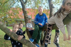 IMG20261015124544-1