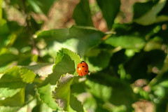 IMG20240925105844