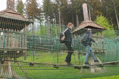 IMG_20220517_135323