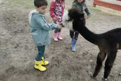 WhatsApp-Image-2022-05-30-at-21.05.29-2