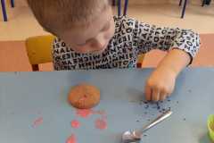 IMG-20210218-WA0002