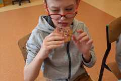 IMG-20210218-WA0007