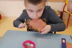 IMG-20210218-WA0008